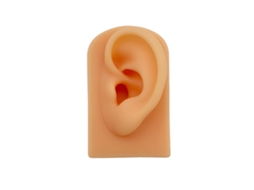 Simulação De Orelhas De Silicone, Modelo De Orelha Invertida, Brinquedo, Novo Produto, Adereços, Orelhas De Exibição Nostalgia88