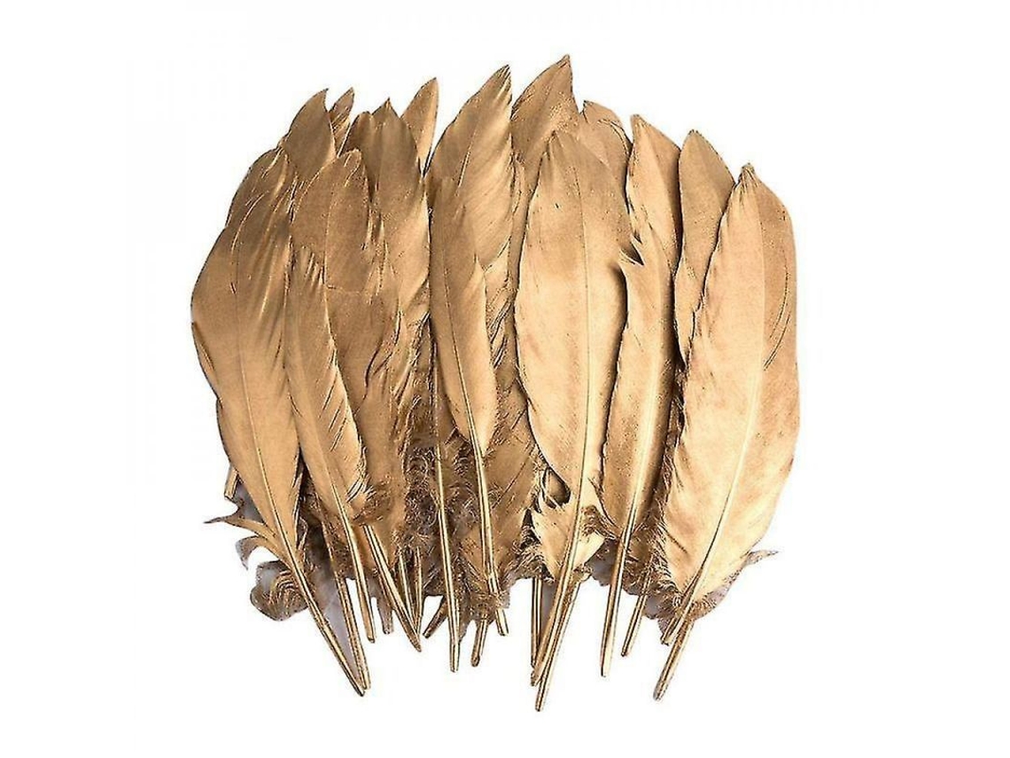 Plumas Douradas Para Manuais 20 Peças Tamanho 3,9-7,8 Polegadas Longas E Duráveis