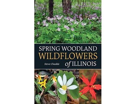 Livro Spring Woodland Wildflowers of Illinois de Steve Chadde (Inglês)