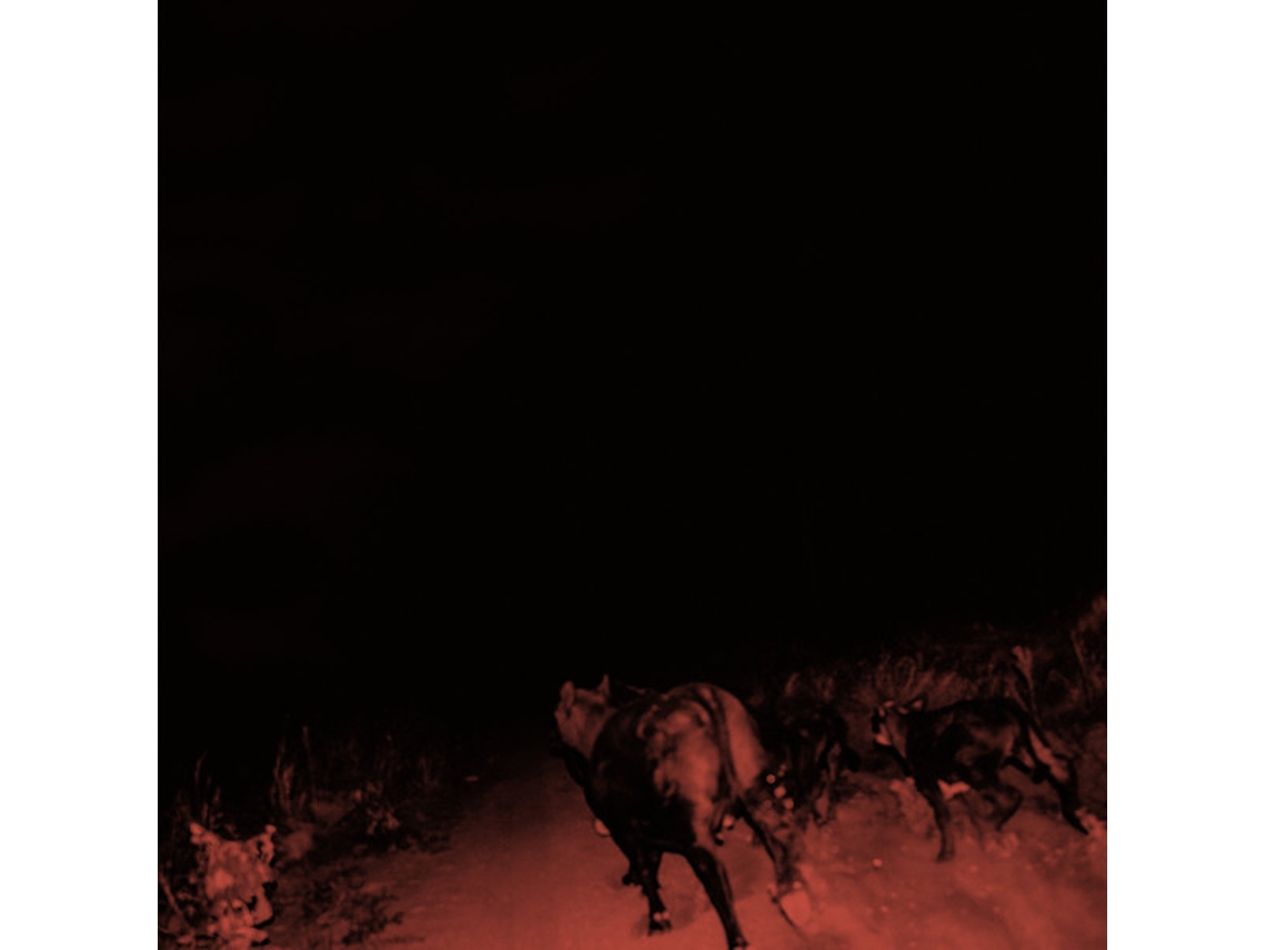 Vinil Bambara  - Shadow On Everything
