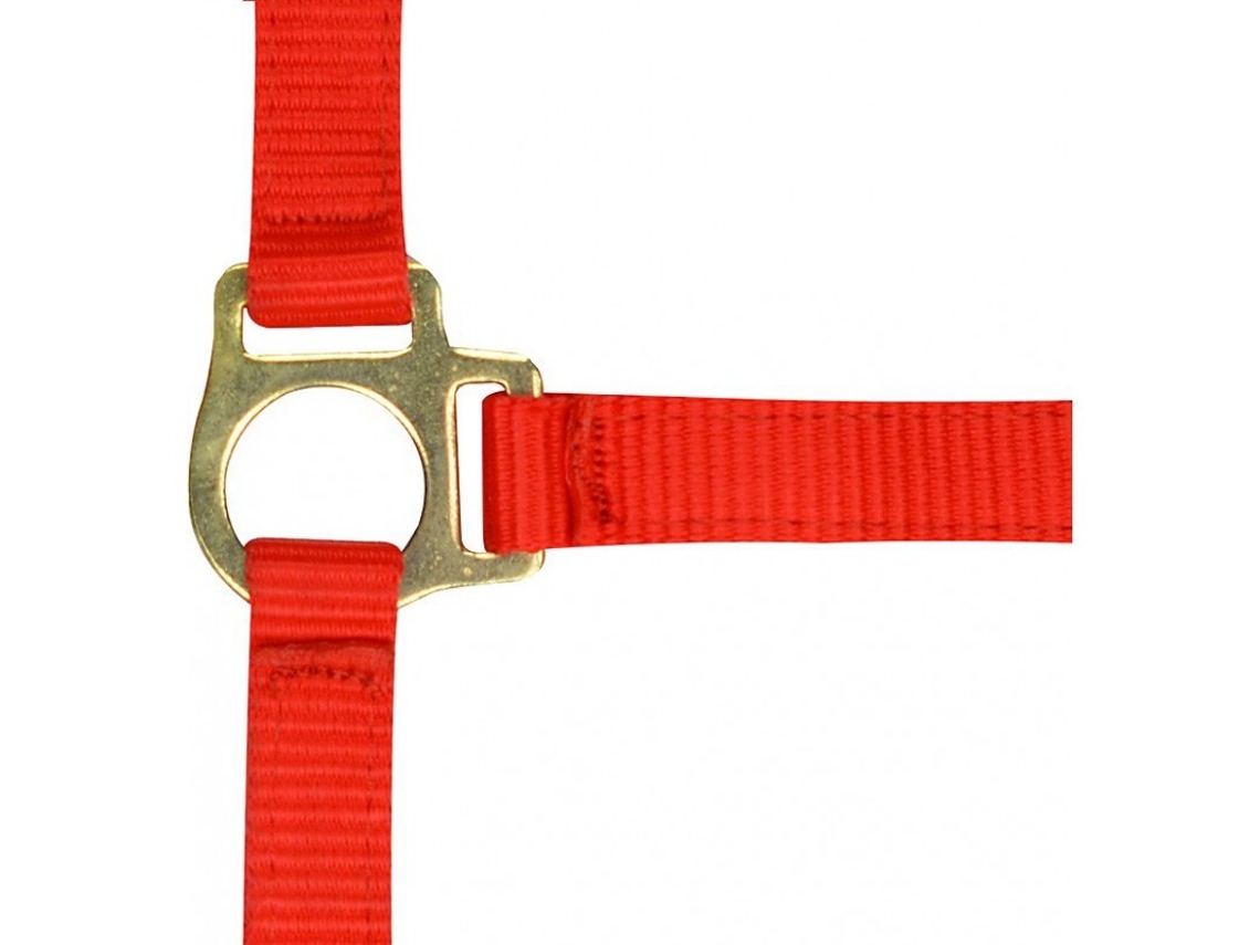 Cabresto para potro e corda de chumbo Norton