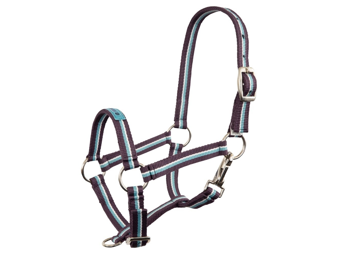 Cabresto para Potros PREMIERE Equitation Fun