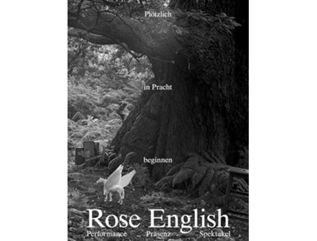 Livro Begin Suddenly in Splendour de Rose English (Inglês)