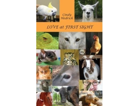 Livro Love at First Sight de Cindy Hedrick (Inglês)