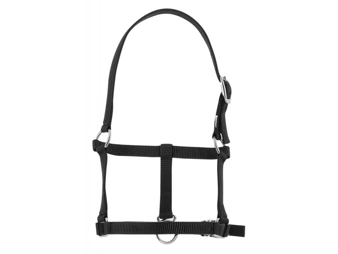 Cabeçada Preto Foalriding World