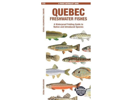 Livro Quebec Freshwater Fishes De Morris, Matthew Et Al. (inglês)