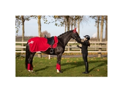 Tapetes de Lã para Cavalos Velvet HFI