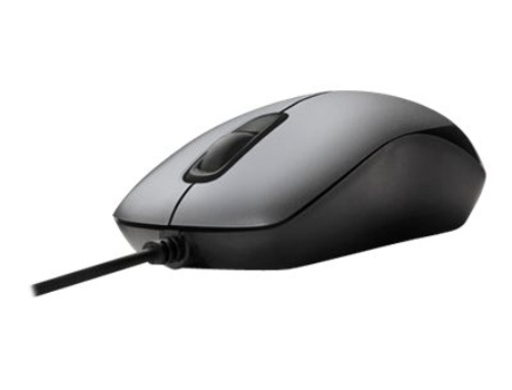 Rato TRUST Evano Compact (Cabo USB - Casual - Cinzento)