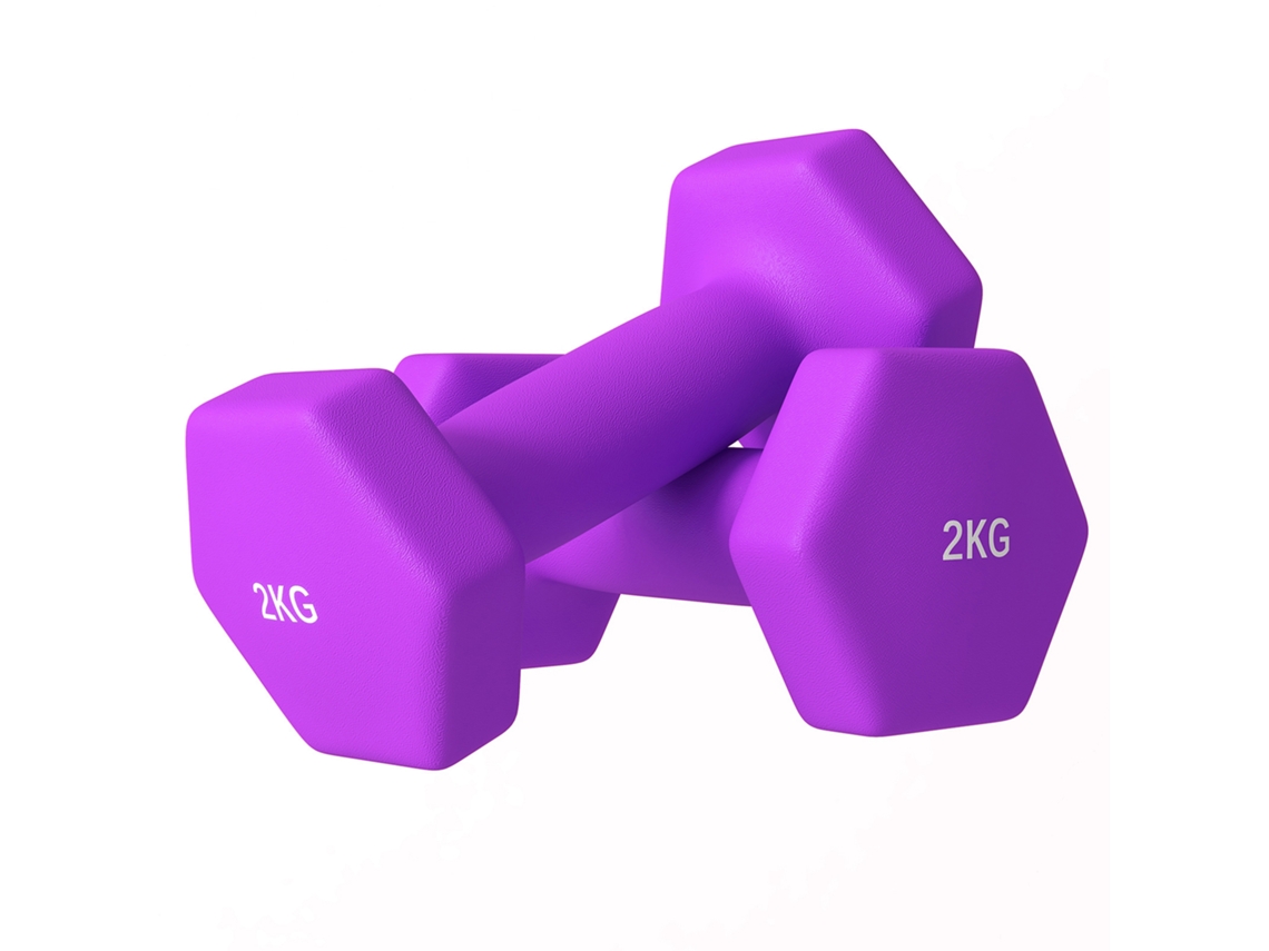 Conjunto de 2 halteres de 12,5 Kg, com pega serrilhada, PONTOCASA