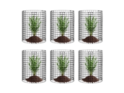Protetor de Plantas 6 Pack de Animais 12 6 Polegada de Diâmetro. Gaiola para Planta de Metal X 14Polegada H VEVOR