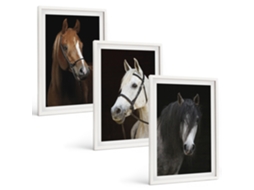 Conjunto De Pinturas Retratos De Cavalos Em Tons De Pelo Espelharte (3 Peças 40x60 Cm)