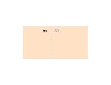 Livro Paq/20 Talonario De Caja T29 10,7x5cm Color Naranja De Desconocido (espanhol)