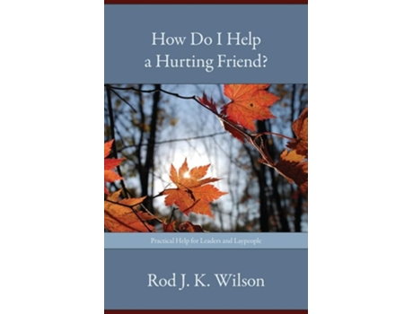 Livro How Do I Help A Hurting Friend? De Rod J K Wilson (inglês)