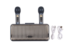 Caixa de Som Bluetooth LAXISCREED Ktv com 2 Microfones
