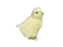 Laxiscreed Boneco De Pelúcia Galinha Chorona Para Crianças E Decoração De Quarto
