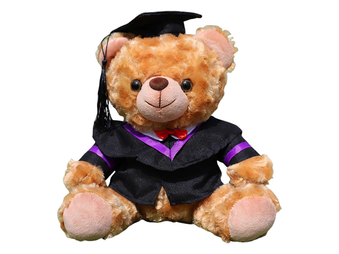 Urso De Pelúcia De Formatura Com Beca Roxa