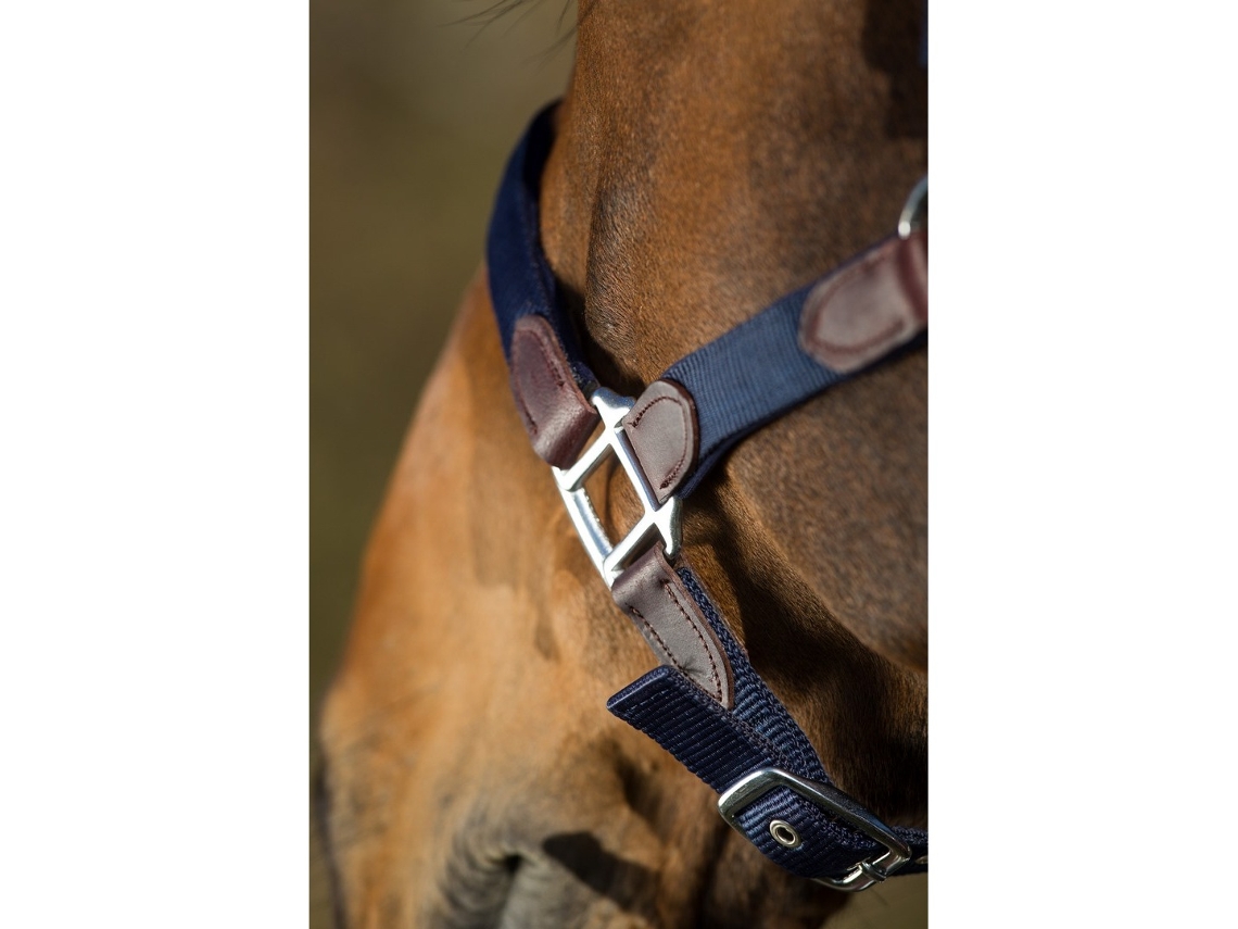 Cabresto com Corda Nylon HFI Neoprene Smart