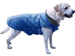 Colete Acolchoado E Refletor Cães No Inverno