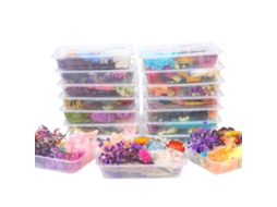 Conjunto de Acessórios Diy de Flor Seca Multicolorida 17x11.5x4cm
