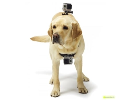 Pet Harness câmera