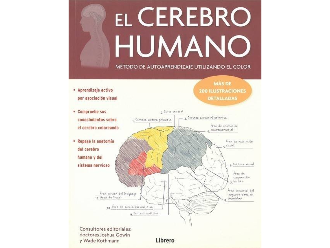 Livro El Cerebro Humano (Espanhol)