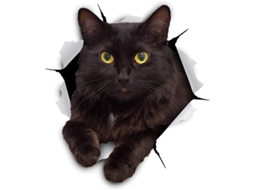 Adesivos De Gato 3d - 2 Pacotes - Decalques De Parede - Presentes Para Amantes De Gatos