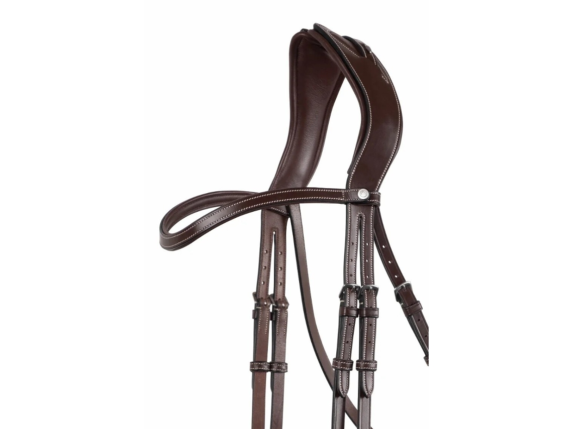Faixa Da Testa Do Cavalo em Contraste MONTAR Classic
