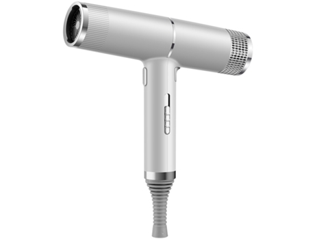 Secador de Cabelo ECELEN T168 Prateado Alta Potência Golpe de Cabelo Luz Azul Ânion Antiestático 1000 W 3 Níveis de Temperatura