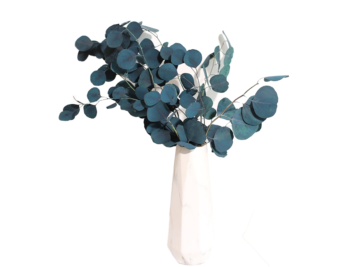 Bela Flor Seca de Eucalipto com Durabilidade Eterna para Decoração de Casa e Ambientes