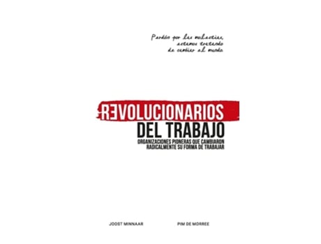 Livro Revolucionarios Del Trabajo Organizaciones Pioneras Que Cambiaron Radicalmente Su Forma De Trabajar De Joost Minnaar (espanhol)