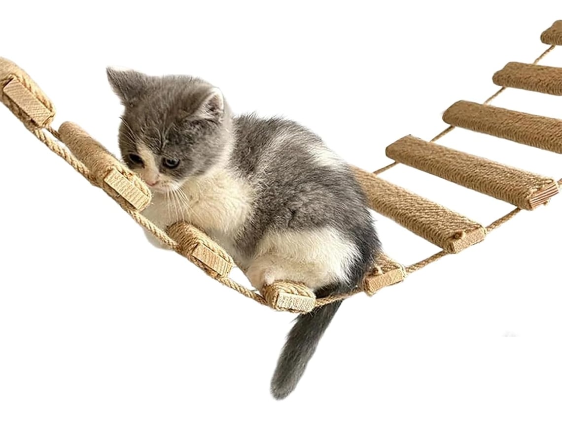 Échelle Pour Chat