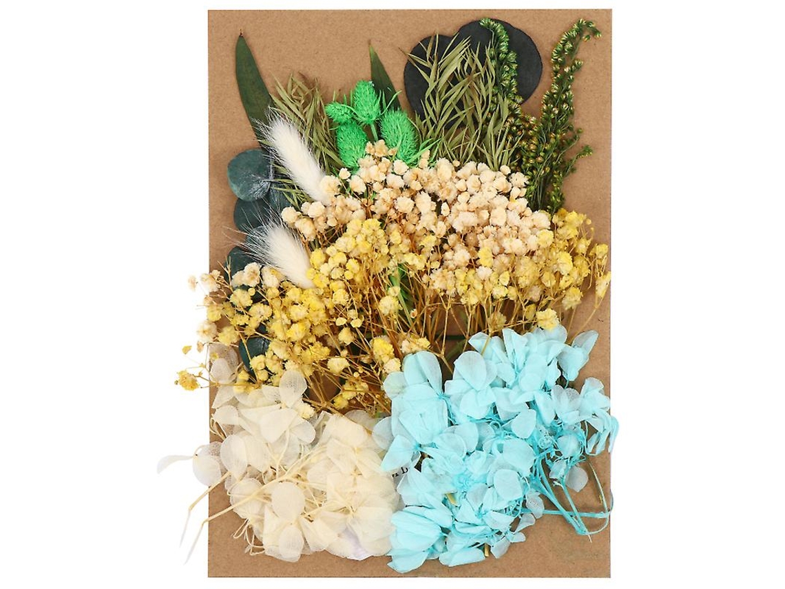 1pcs Flores Prensadas Allinless