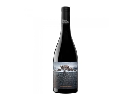 A Grenache Perdida dos Pirenéus 2019 GRUPO VINTAE