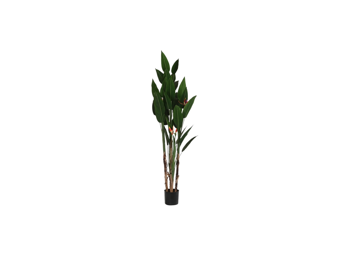 Planta em Poliéster Pp com Estampa de Ave do paraíso Verde, 90x90x200cm ALEXANDRA HOUSE LIVING