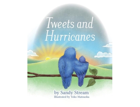 Livro Tweets And Hurricanes De Sandy Stream (inglês)