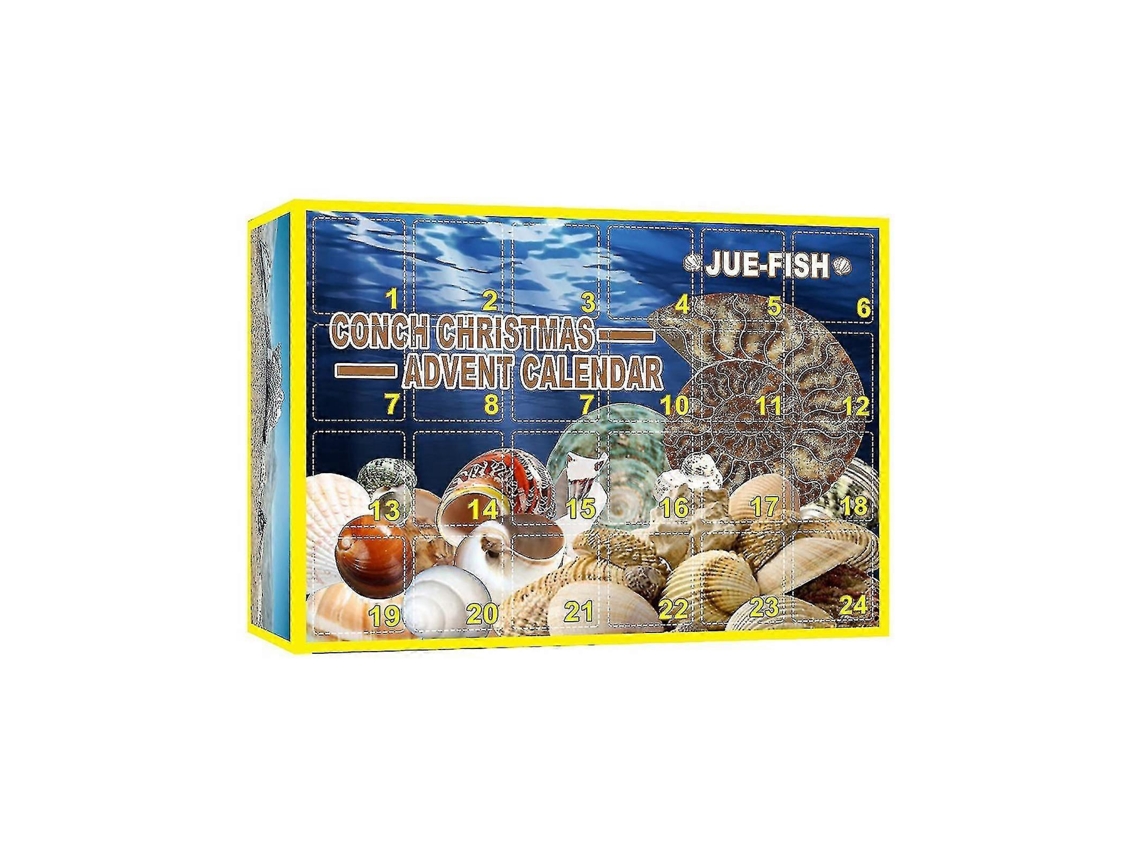 Calendário Do Advento Com 24 Conchas Surpresa