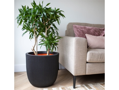 Vaso Groove 35X34 cm Preto CAPI