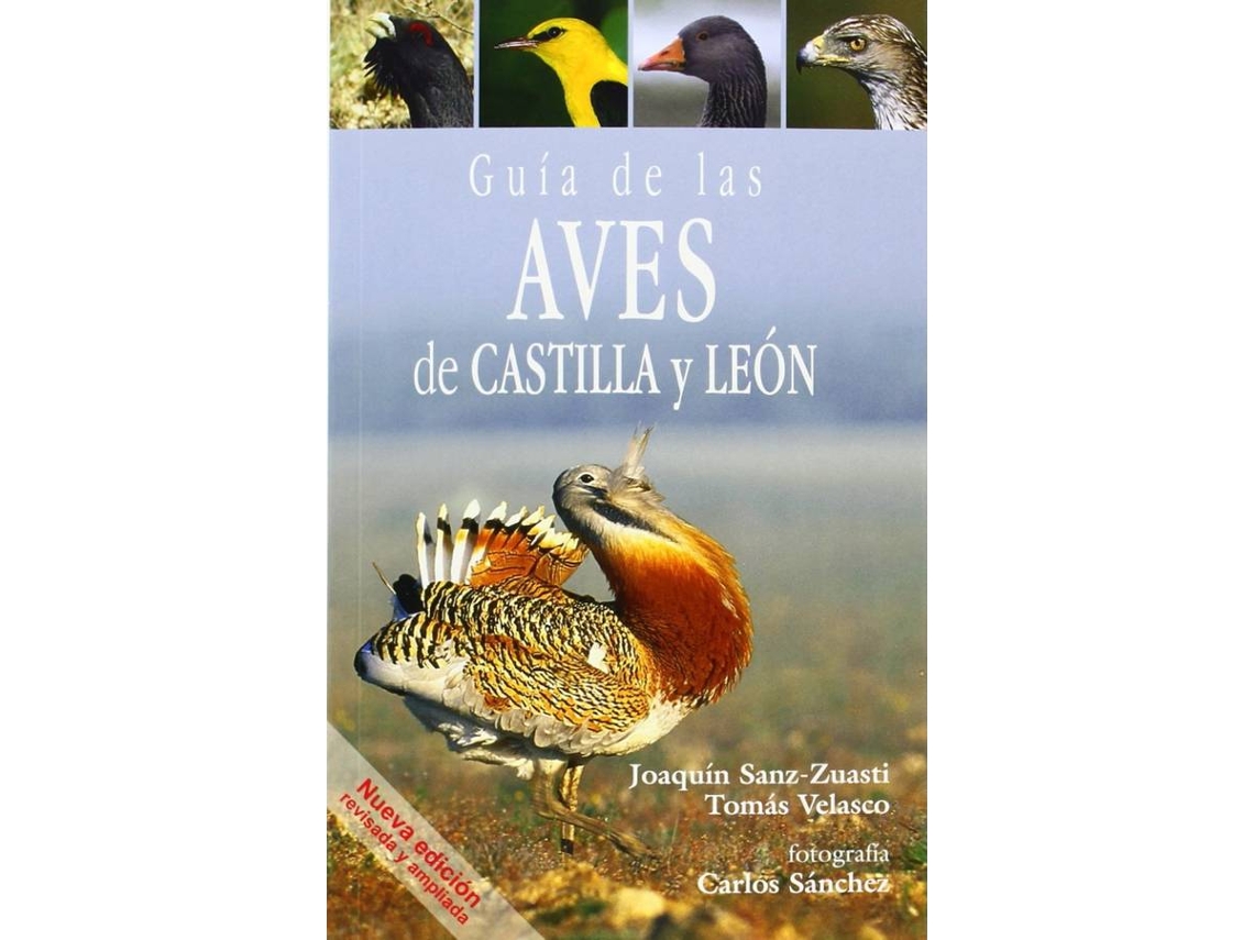 Livro Guía De Aves De Castilla Y León de Joaquín Sanz-Zuasti e Tomás Velasco (Espanhol)