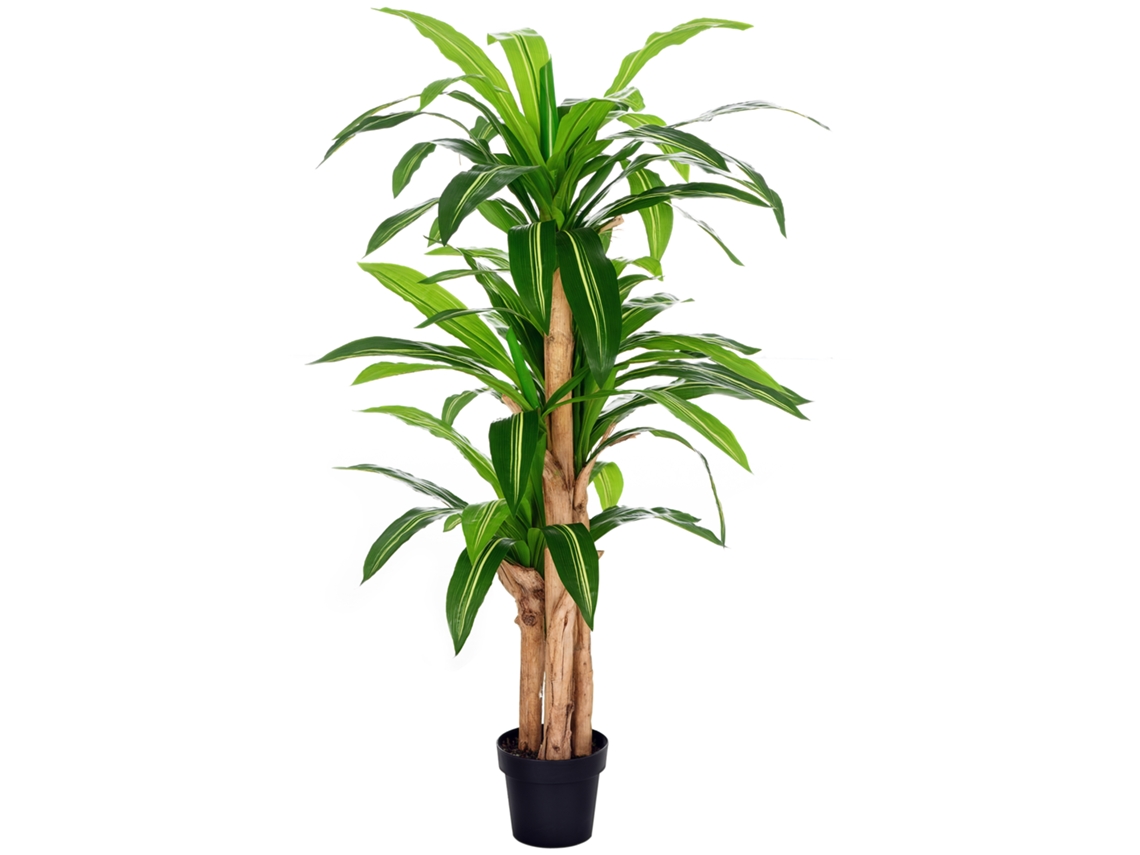 Planta Artificial Dracaena com 66 Folhas, Musgo, Ø 20x160 Cm VERDE | S/MARCA