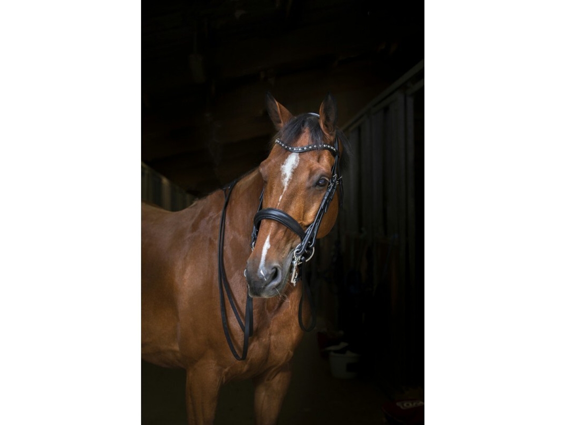 Cabresto para cavalos Eric Thomas Hybrid