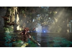 Pré-venda Jogo PS5 Horizon Forbidden West (Special Edition)