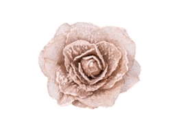 Amarradores Magnéticos para Cortinas Florais Café 40
