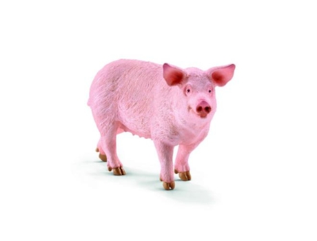 Figura  Porco