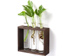 Maceta De Vidro Montada Na Parede Com Suporte De Madeira Maceta Moderna Para Plantas E Flores
