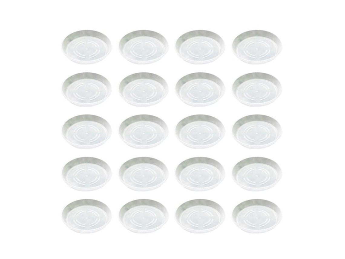 20Un Vasos de Plantas Suculentas Sauser ALLINLESS