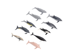 Walshlxq 10 Peças de Modelo de Golfinho Brinquedo Simulação de Animais Marinhos Figuras Estáticas Ornamentos para Crianças