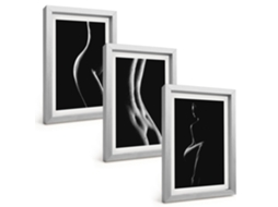 Composição De Quadros Na Paredesilhuetas Femininas Em Preto E Branco Moldura Prateada Quadros Para A Sala De Estar Espelharte (3 Peças 20x30 Cm)