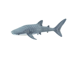 SAFARI Whale Shark Sea Life