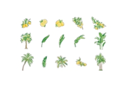 15pcs Adesivos Florais Pet Exquisitos para Scrapbook Notebook Diy | S/MARCA