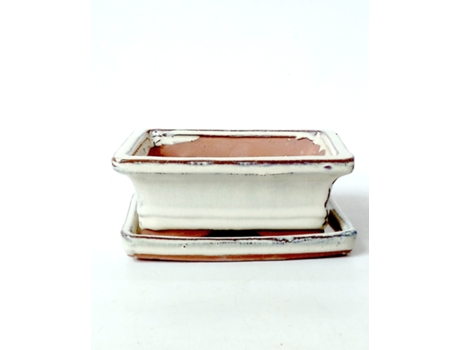 Pack de Vaso e Prato LUSO BONSAI (28x21,5x9 cm - Cer?mica - Bege)
